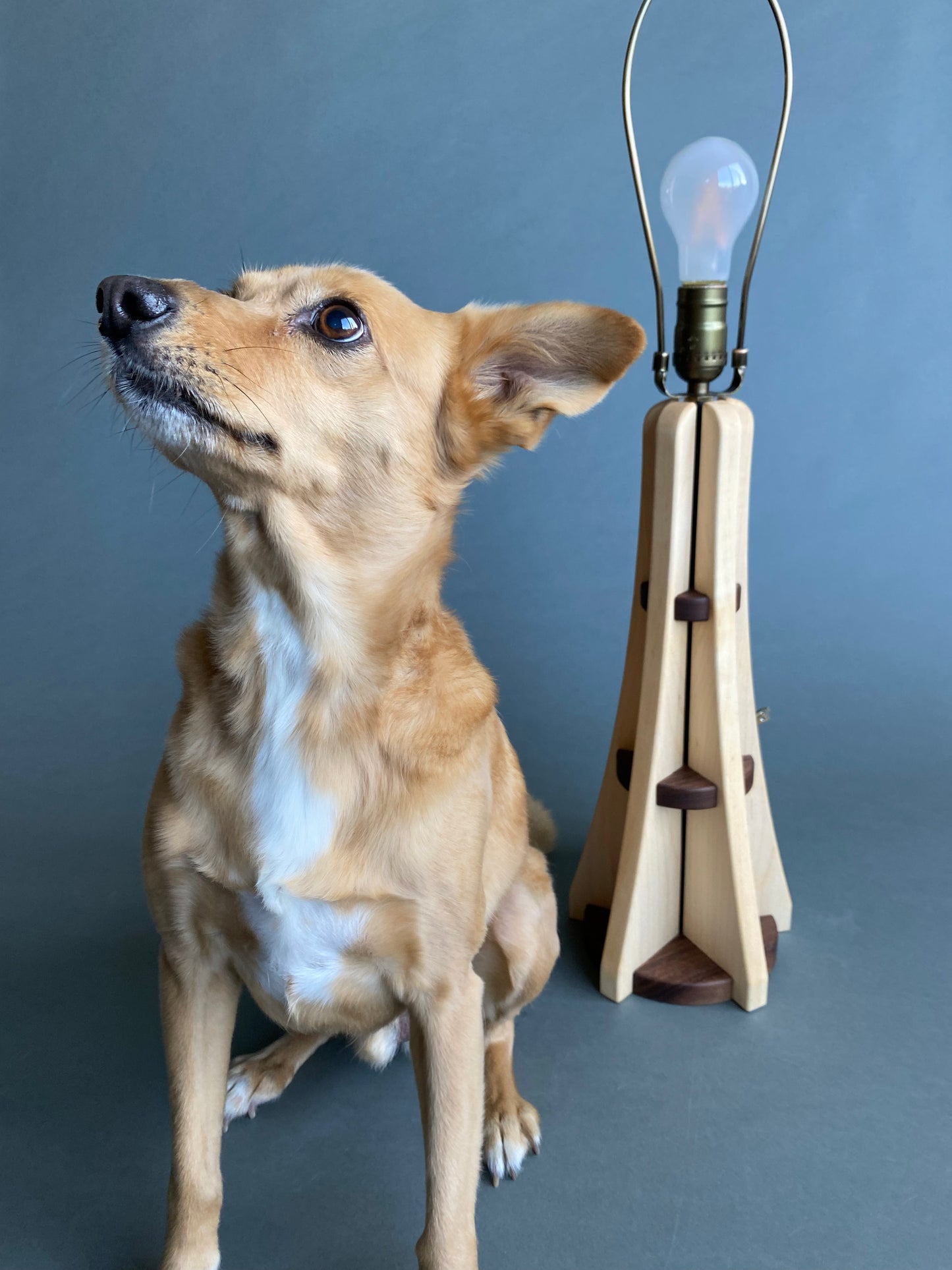 Handmade Hardwood Table Lamp